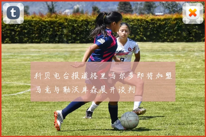 科贝电台报道格里马尔多即将加盟马竞与勒沃库森展开谈判